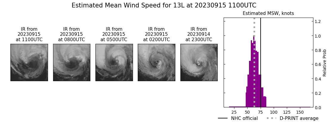 current 13L intensity image