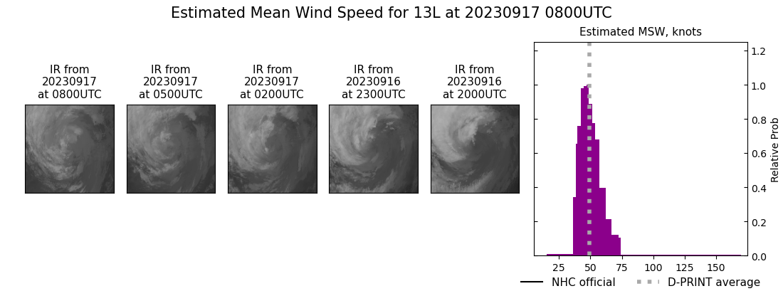 current 13L intensity image