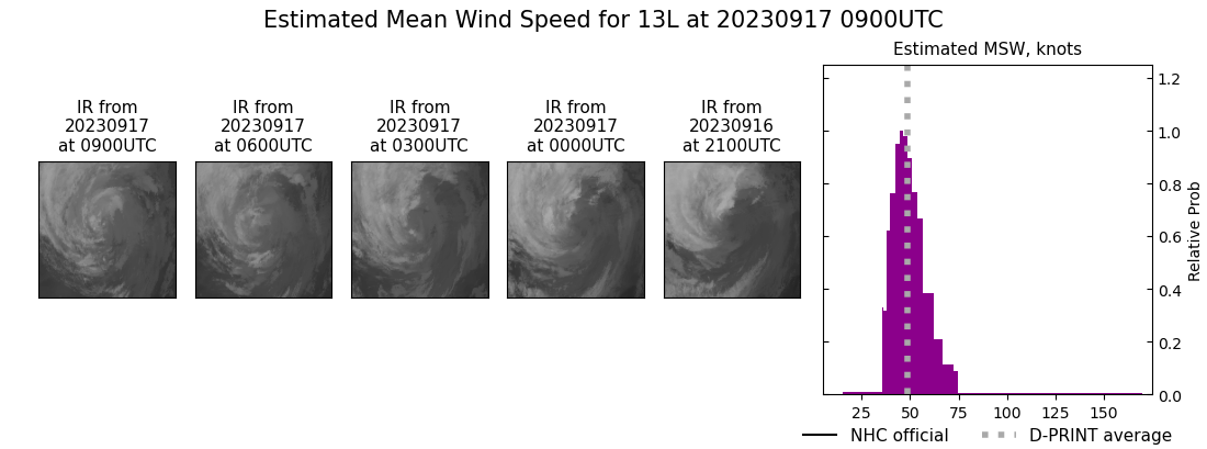 current 13L intensity image