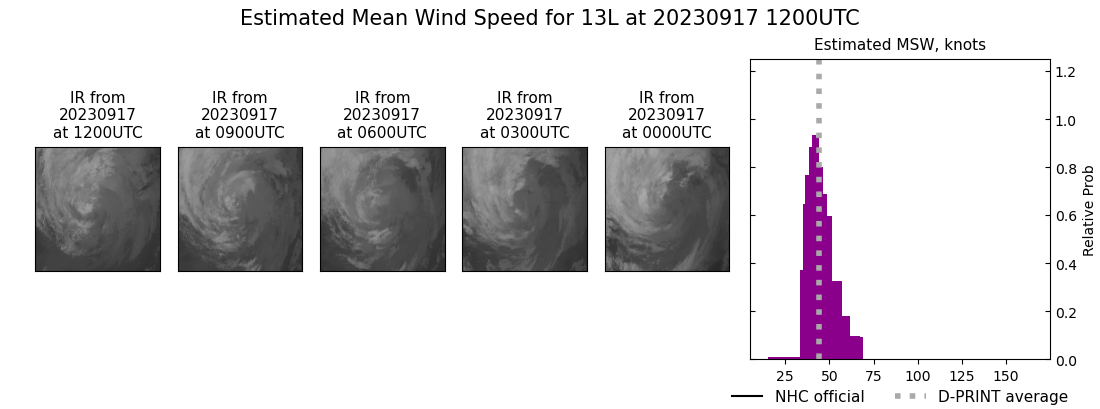 current 13L intensity image