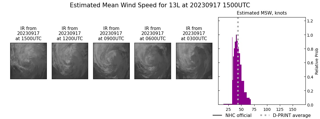 current 13L intensity image