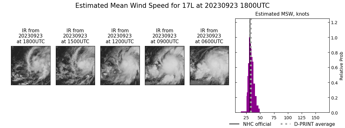 current 17L intensity image