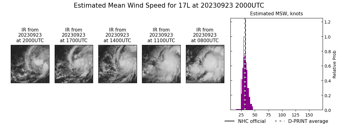 current 17L intensity image