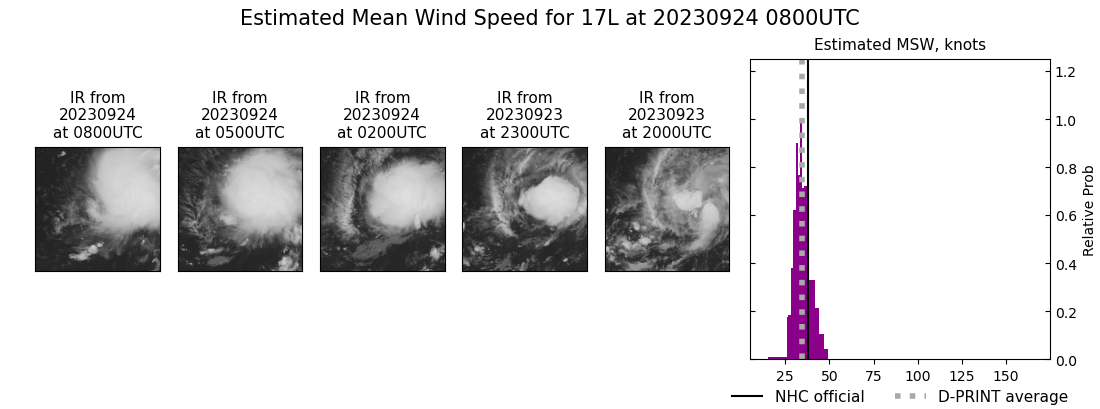 current 17L intensity image