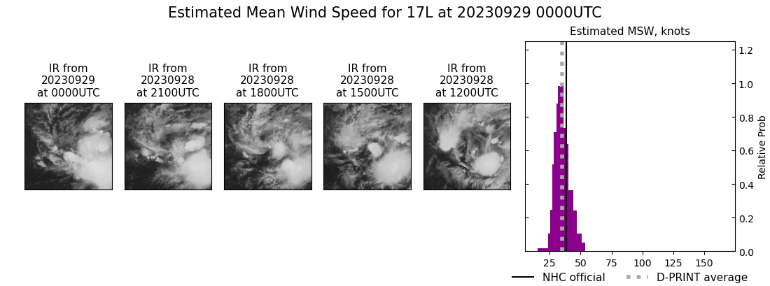 current 17L intensity image