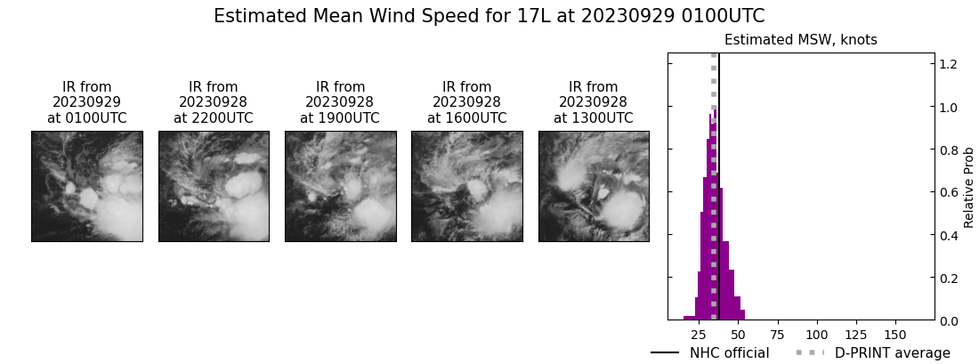 current 17L intensity image