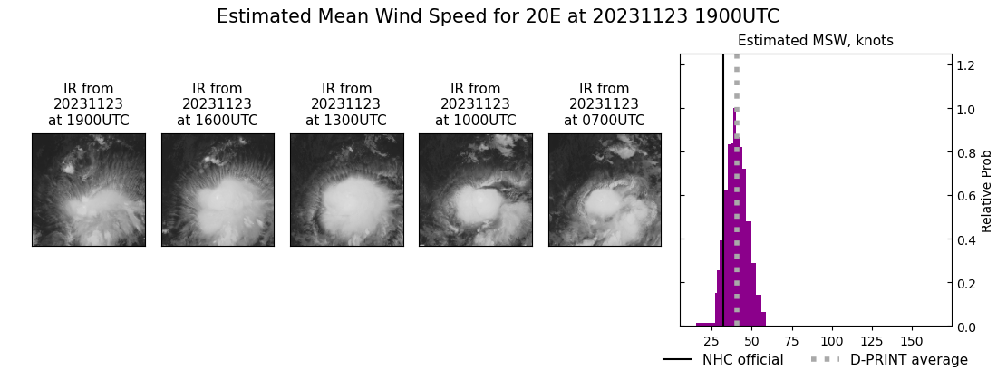 current 20E intensity image