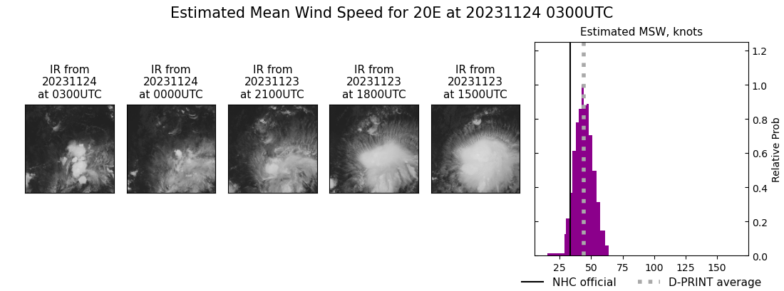 current 20E intensity image