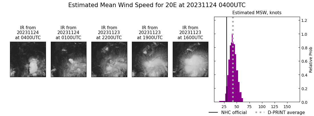 current 20E intensity image