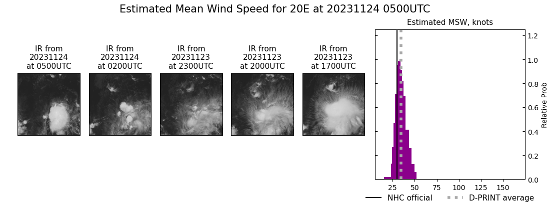 current 20E intensity image