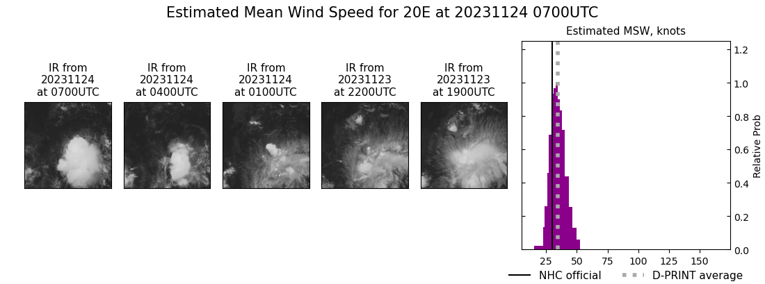 current 20E intensity image