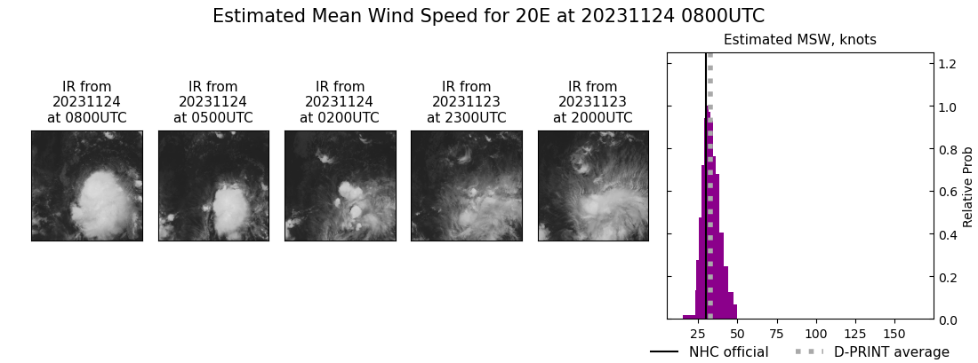 current 20E intensity image