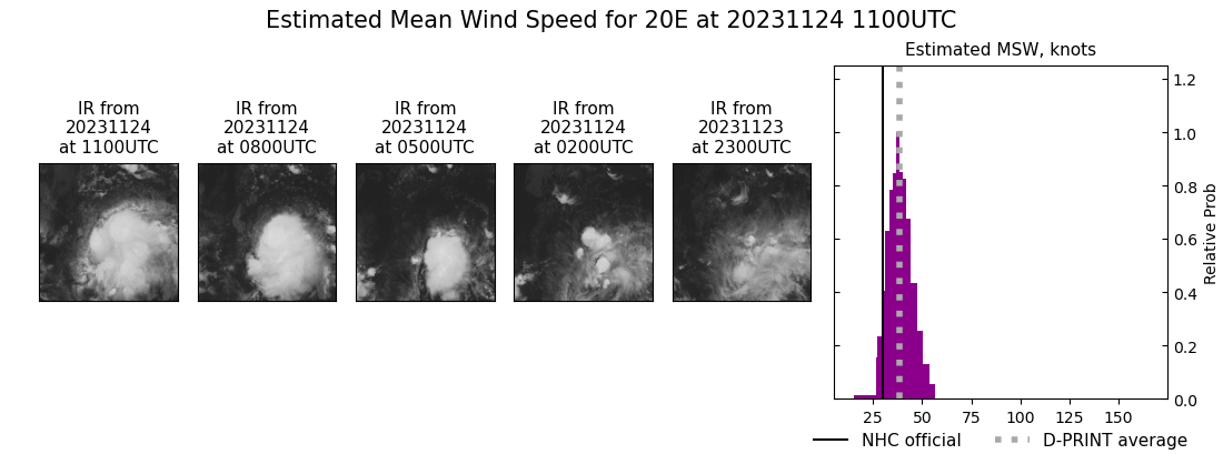 current 20E intensity image