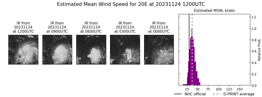 current 20E intensity image