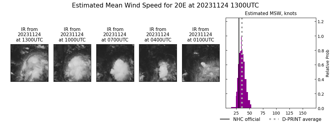 current 20E intensity image