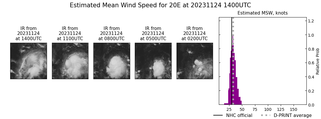 current 20E intensity image