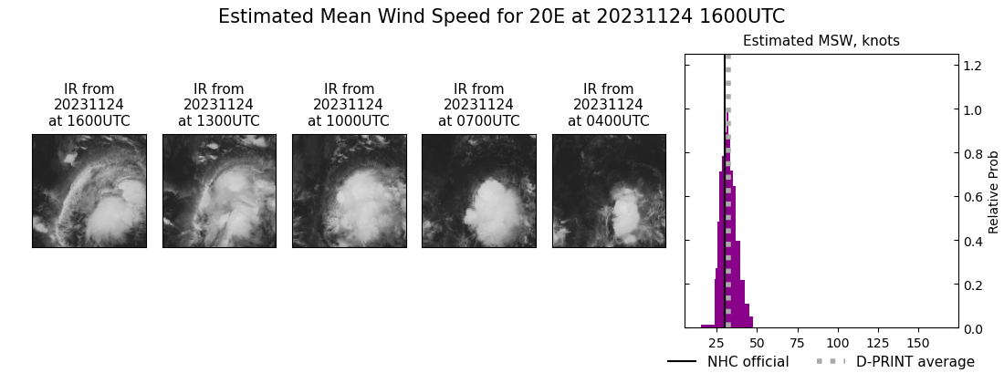 current 20E intensity image