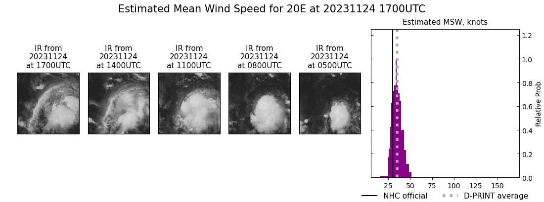 current 20E intensity image