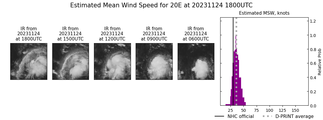 current 20E intensity image