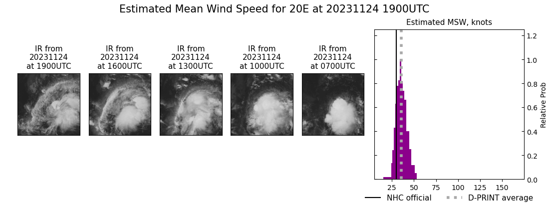 current 20E intensity image