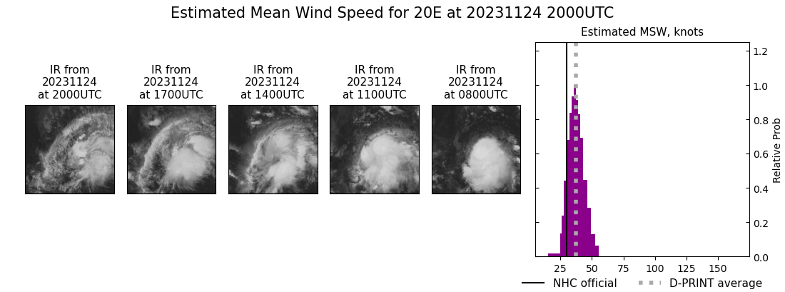 current 20E intensity image