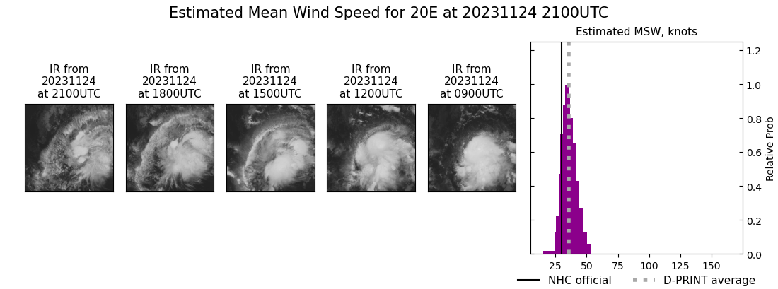 current 20E intensity image