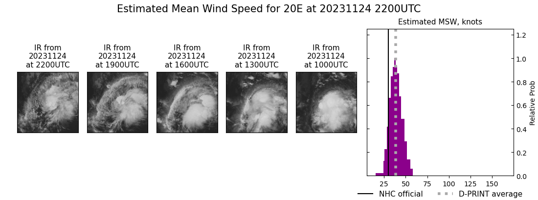 current 20E intensity image