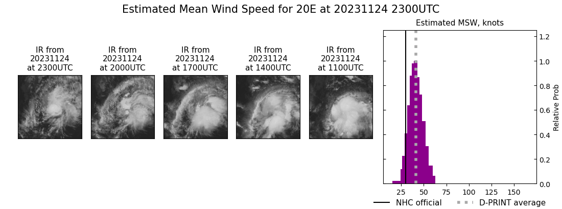 current 20E intensity image