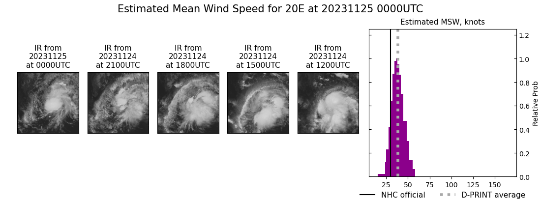 current 20E intensity image