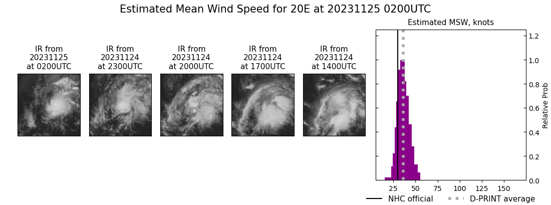 current 20E intensity image