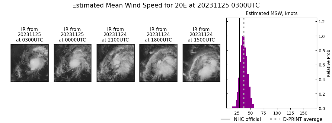 current 20E intensity image