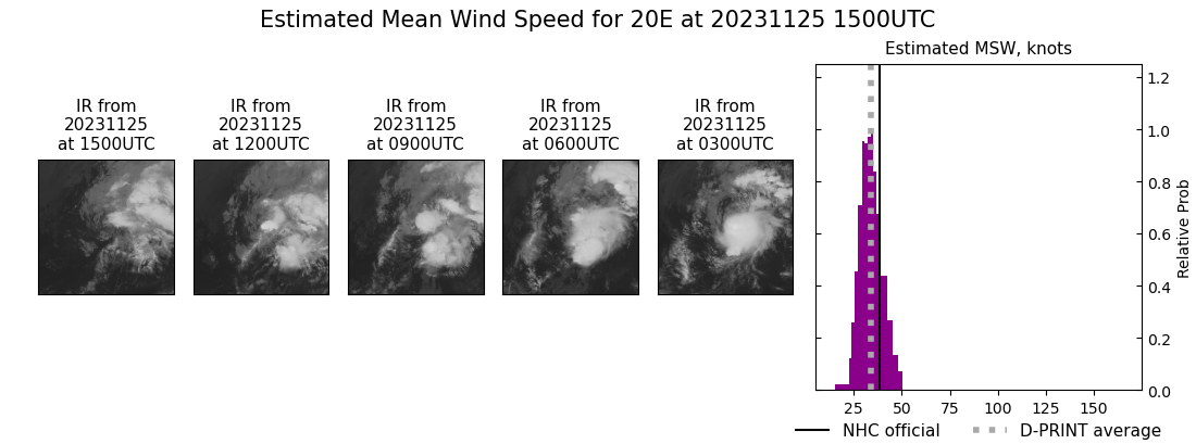 current 20E intensity image