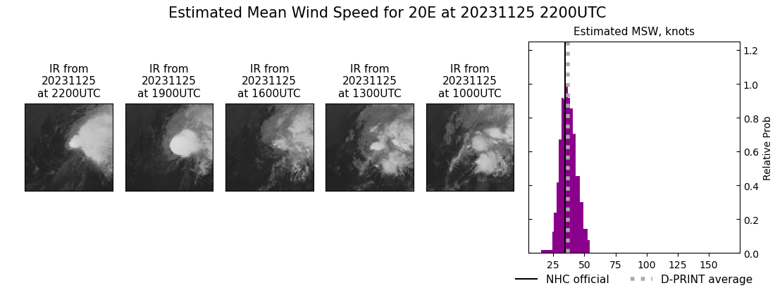 current 20E intensity image