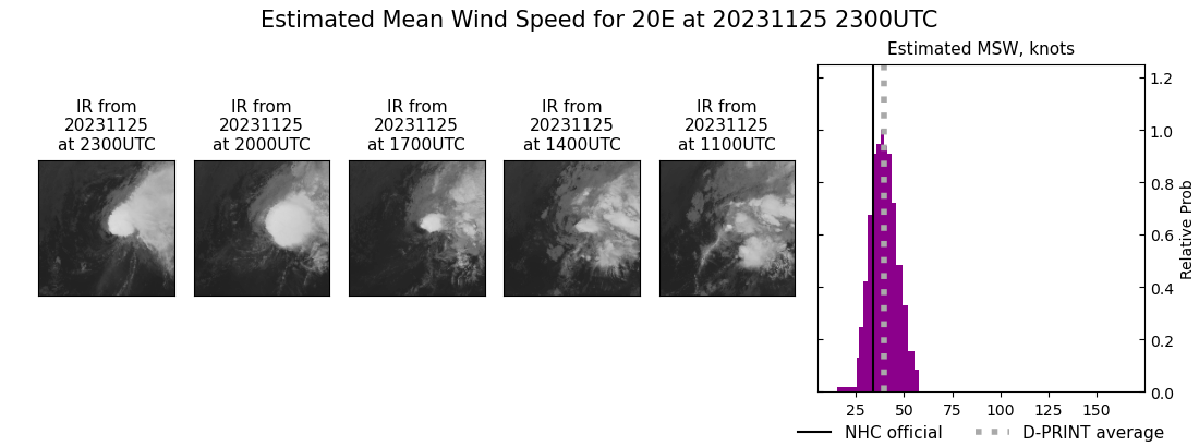 current 20E intensity image