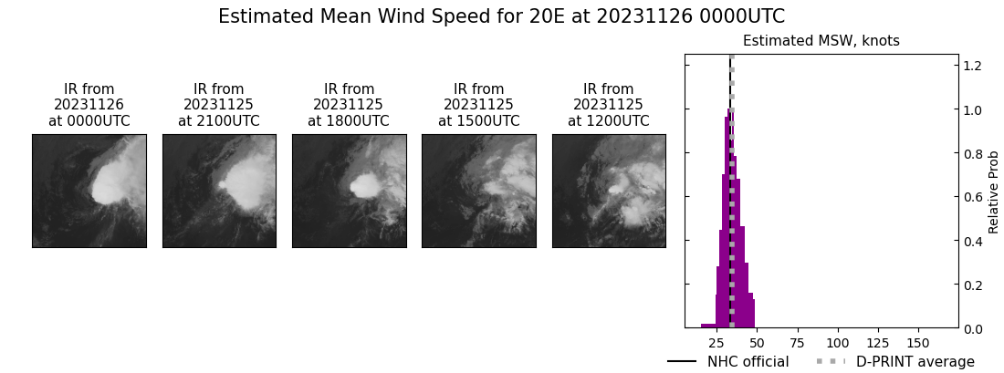 current 20E intensity image