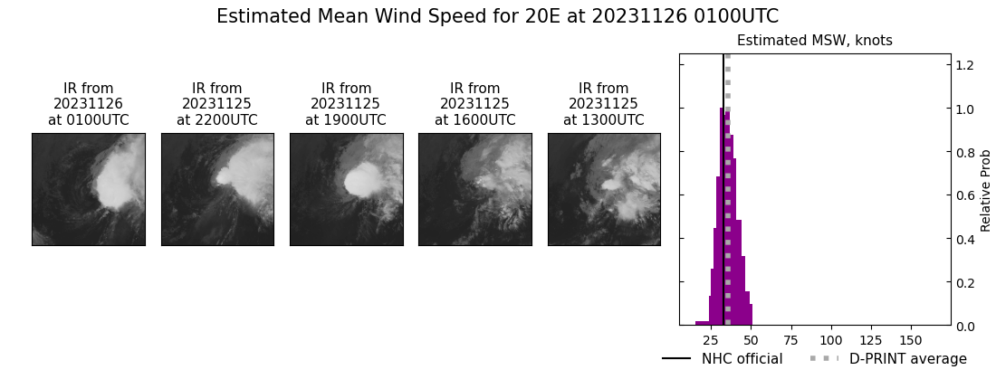 current 20E intensity image