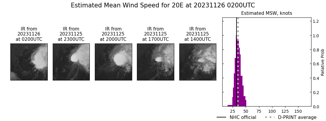 current 20E intensity image