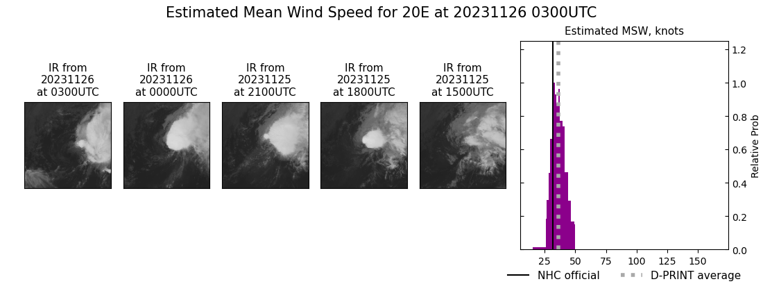 current 20E intensity image