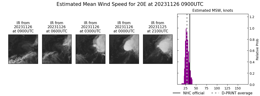 current 20E intensity image