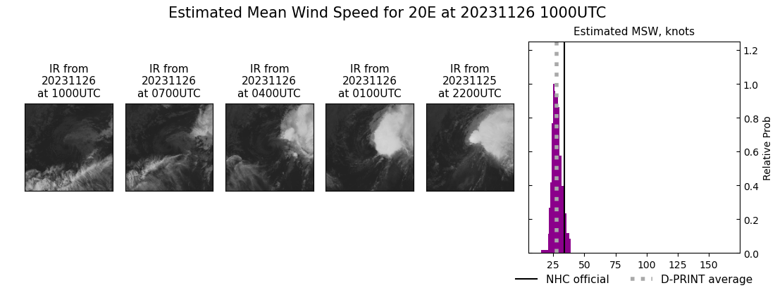 current 20E intensity image