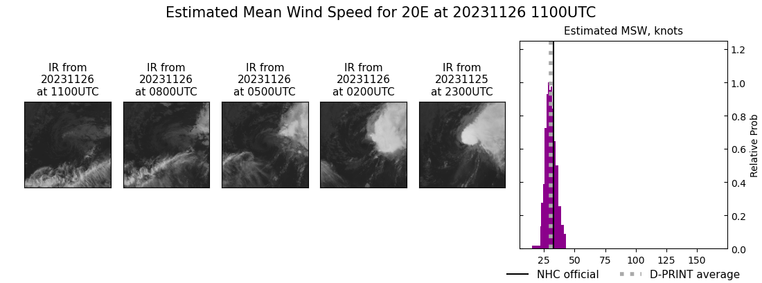 current 20E intensity image