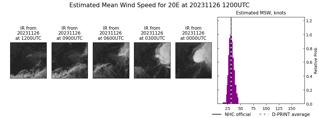 current 20E intensity image