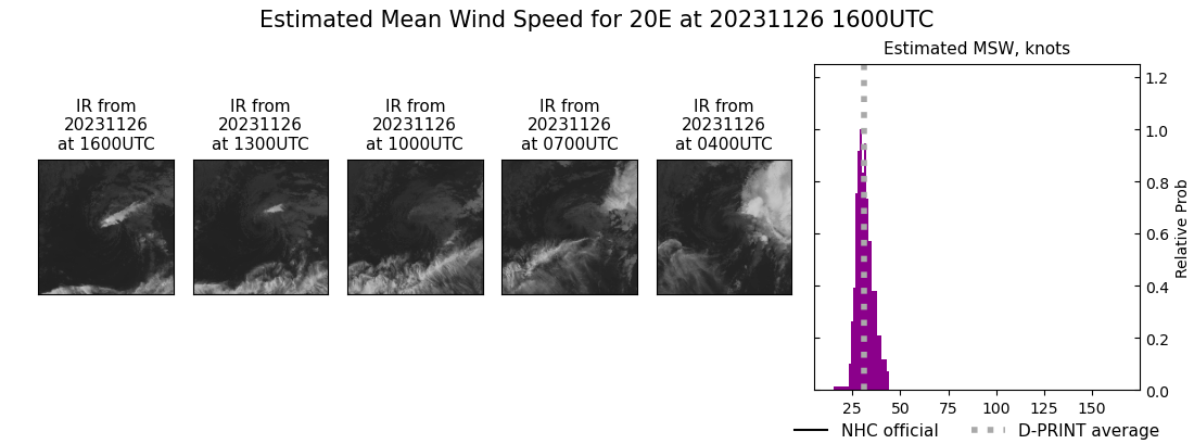 current 20E intensity image