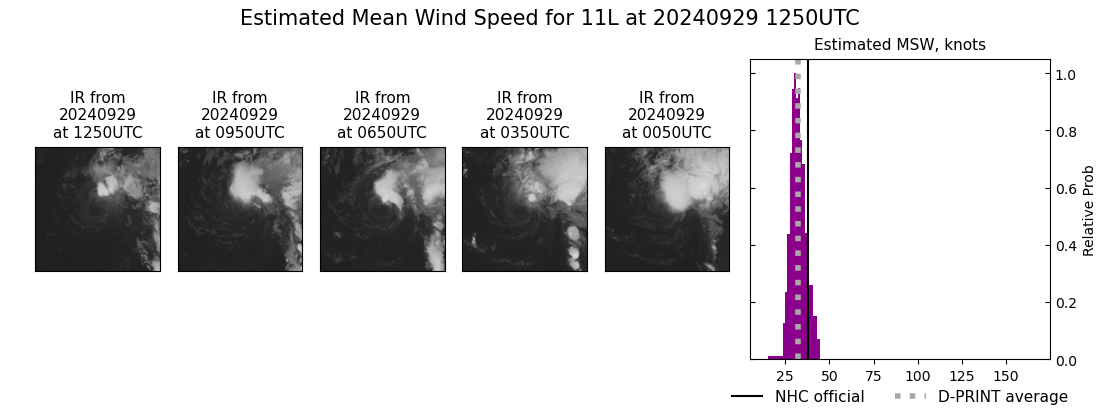 current 11L intensity image