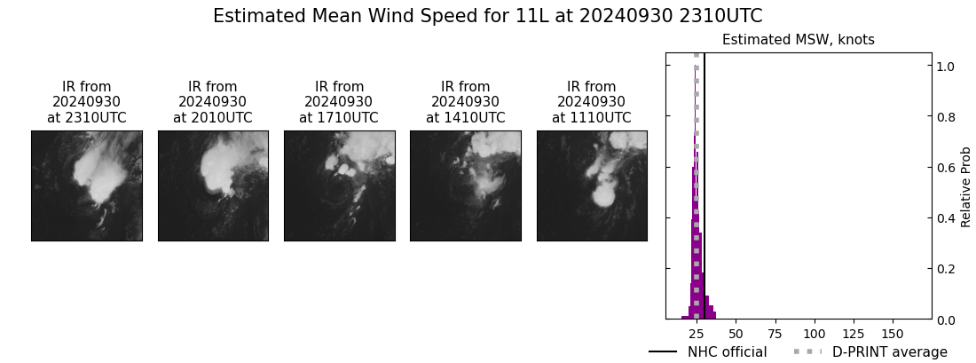 current 11L intensity image