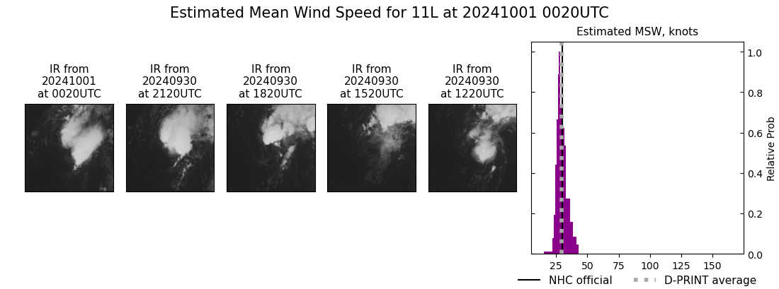 current 11L intensity image