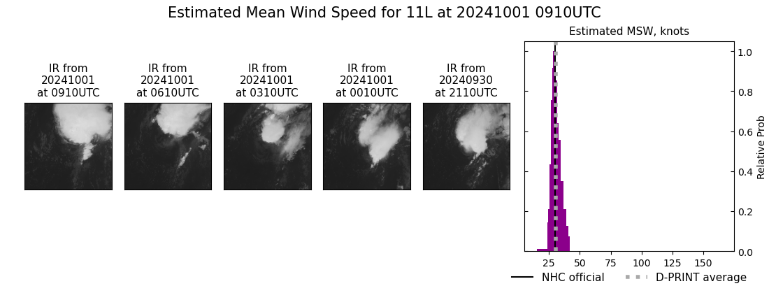 current 11L intensity image