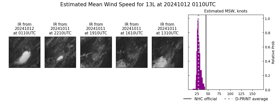 current 13L intensity image