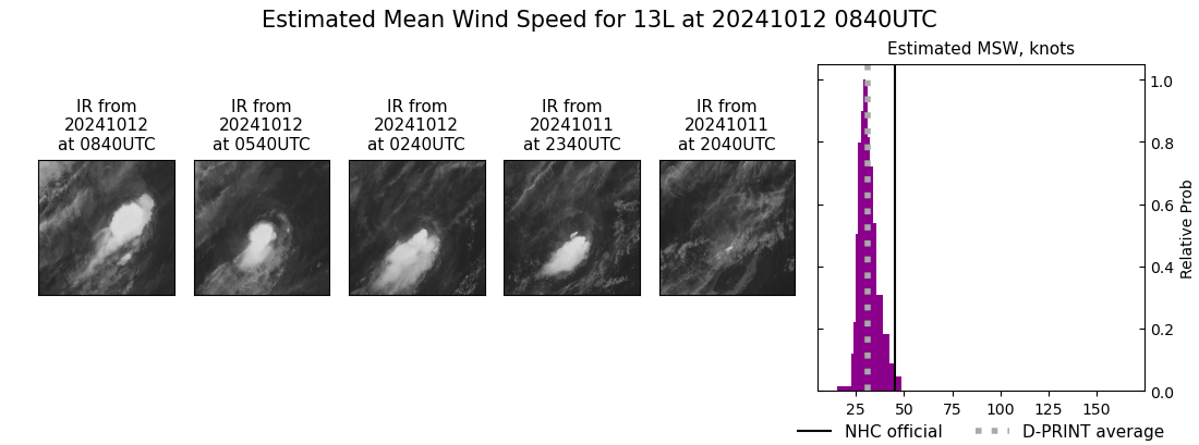 current 13L intensity image