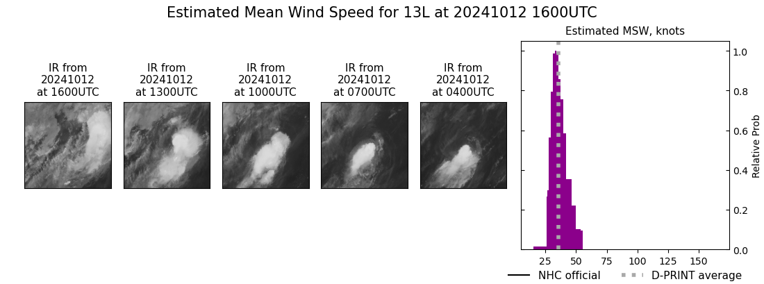 current 13L intensity image